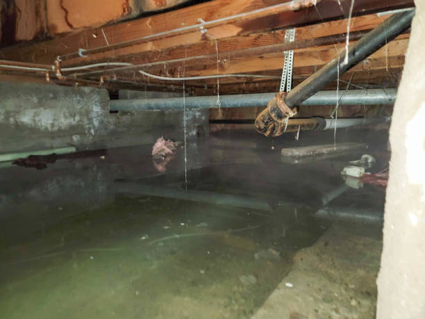 Water damage restoration insurance claims in Shannon Hills, AR