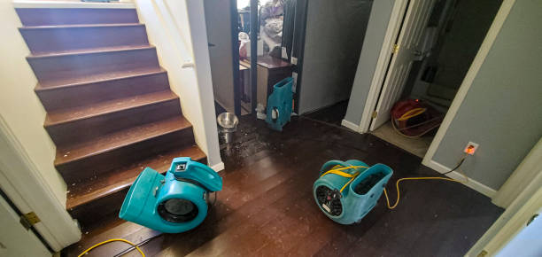 Best Flood restoration services  in Shannon Hills, AR