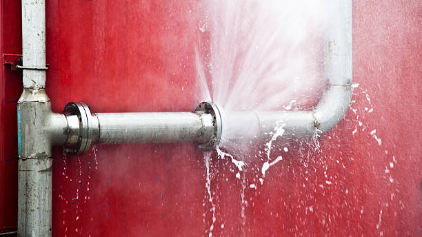 Best Local water damage restoration  in Shannon Hills, AR
